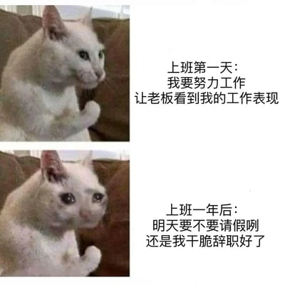图片为上下两格拼接的猫咪表情包。上格中白猫坐在棕色沙发上，坐姿端正，眼神坚定，配文“上班第一天：我要努力工作让老板看到我的工作表现”；下格中同一只猫表情委屈，眼神黯淡，配文“上班一年后：明天要不要请假咧还是我干脆辞职好了”。通过猫咪前后情绪和配文的强烈对比，幽默展现了职场人从入职初期的积极干劲到工作一段时间后的倦怠心态变化，引发职场人群共鸣。
