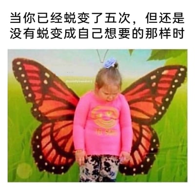 这是一张共情式网络梗图，上方配文“当你已经蜕变了五次，但还是没有蜕变成自己想要的那样时”，图中是一位穿着粉色带笑脸图案上衣的小女孩，站在带有蝴蝶翅膀的拍照道具板前，低着头，双手垂在身侧，神情沮丧低落。用蝴蝶从幼虫到成虫需要多次蜕变的意象，来比喻人们在自我成长、自我改变的过程中付出多次努力，却依然没能成为理想中的自己的状态，通过小女孩失落的神态和配文的呼应，以幽默的方式精准戳中人们努力却未得偿所愿时的沮丧情绪，引发共鸣。