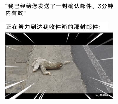 这是一张吐槽网络邮件服务延迟的趣味梗图，上方分为两段文字：第一段是系统或客服的提示语“我已经给您发送了一封确认邮件，3分钟内有效”，第二段是用户视角的旁白吐槽“正在努力到达我收件箱的那封邮件:”；下方配图是一只树懒趴在道路旁的地面上，以标志性的极其缓慢的姿态挪动，画面还添加了速度线来制造反差感，生动地讽刺了很多时候验证邮件明明被提示“3分钟内有效”，却迟迟无法进入用户收件箱，导致有效时间过期的尴尬日常，引发用户对类似网络服务延迟情况的共鸣。