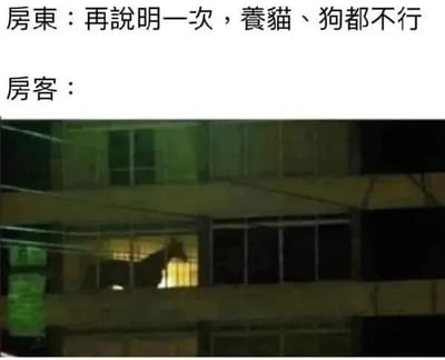 图片上方为房东与房客的对话文字，房东强调“再说明一次，养猫、狗都不行”，房客回应部分则配上一张夜晚居民楼的照片，其中一扇亮着灯的窗户里清晰可见一匹马的剪影。通过这种反差制造幽默效果，调侃房客用“养马”的方式规避房东禁止养猫狗的规定。