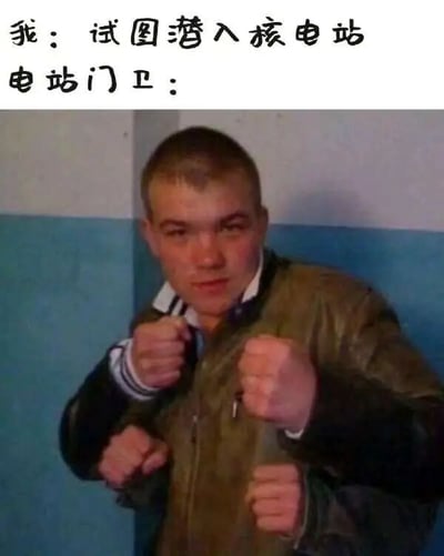 图片上方配有文字“我：试图潜入核电站”和“电站门卫：”，下方是一名穿着棕色夹克的男性，他站在蓝白相间的墙边，双拳紧握于胸前，表情严肃警惕，仿佛在严阵以待，通过文字与人物表情动作的结合，营造出一种幽默的反差场景，暗示核电站门卫的警惕性极高。