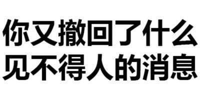 这是一张纯文字静态图，画面主体为黑色粗体中文文字“你又撤回了什么 见不得人的消息”，背景为纯白色。文字内容直白表达了对聊天中对方撤回消息行为的好奇与调侃，常用于社交互动中回应他人撤回消息的场景。