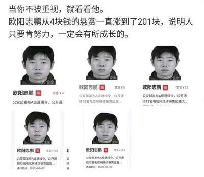 这是一张网友制作的反讽梗图，上方配有文字：“当你不被重视，就看看他。欧阳志鹏从4块钱的悬赏一直涨到了201块，说明人只要肯努力，一定会有所成长的。”下方拼接了五张公安部发布的A级通缉令截图，展示了通缉犯欧阳志鹏的赏金从4元、5元、12元、100元逐步涨到201元的过程，通缉内容均为公开通缉电信网络诈骗集团成员。<br>这张图运用了黑色幽默的反讽手法，将通缉赏金的提升调侃为“努力成长”，实际上是暗指欧阳志鹏的诈骗犯罪行为愈发严重，才导致悬赏金额不断提高，以此制造出荒诞搞笑的效果。
