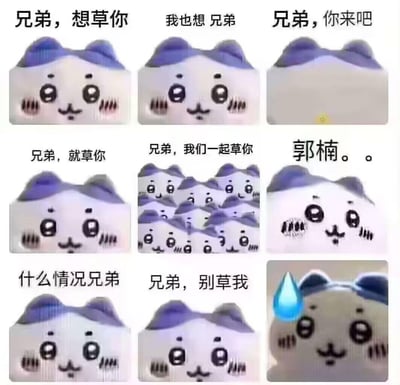 这是一组以日本漫画《Chiikawa》中的吉伊形象制作的九宫格连环梗图，通过递进的对话制造反转笑点：
1. 开篇是“兄弟，想草你”“我也想 兄弟”“兄弟，你来吧”的互动，营造出双向的期待感；
2. 随后对话突转，变成“兄弟，就草你”“兄弟，我们一起草你”，同时画面出现大量重复的吉伊形象；
3. 接着出现“郭楠。。”的文字，“郭楠”是“国男”的谐音，属于网络谐音梗；
4. 最后角色态度彻底反转，发出“什么情况兄弟”“兄弟，别草我”的求救，最终呈现出流汗的慌张表情，完成整个反转玩梗的过程。