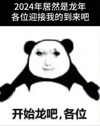 这是一张P图改编的静态图文混排表情包，属于顶配底文图类型。图中主体是经典暴走熊猫头换脸形象，熊猫头部被替换成带有戏谑搞怪表情的人脸，双臂向两侧张开，呈现出号召的姿态。图片顶部配有文字“2024年居然是龙年 各位迎接我的到来吧”，底部配有文字“开始龙吧，各位”，其中运用了谐音梗，将“弄”谐音替换成“龙”，贴合2024年为农历龙年的时间背景，以搞笑诙谐的方式号召大家行动起来，适合在龙年相关的社交场景中用来活跃氛围。