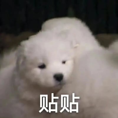 一张可爱的萨摩耶犬照片，狗狗有着蓬松雪白的毛发，正温顺地直视前方。图片底部有白色文字"贴贴"，这是网络流行用语，通常用来表达想要亲近、拥抱的心情或请求。整体画面温馨治愈，适合用来表达喜爱或友好的情感。