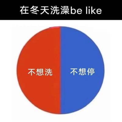 这张图以简洁的图文形式，精准刻画了人们在冬天洗澡时的矛盾心态。顶部配文“在冬天洗澡be like”点明主题，画面中心是一个被平分为红蓝两半的圆形，红色半边标注“不想洗”，对应洗澡前因畏惧寒冷而抗拒洗澡的心理；蓝色半边标注“不想停”，对应洗澡时沉浸在热水的温暖中不愿结束的状态，用直观的对比戳中了大众在冬天洗澡时的真实感受，极易引发共鸣。