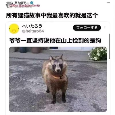 这是一则在中文网络流传的搞笑趣事帖，微博用户转发了日本网友的内容：一位爷爷在山上捡到一只外形酷似狗但实际是狸猫（貉）的动物，却始终坚持自己捡到的是狗，还给它戴上了狗项圈。图里的狸猫平静地站在室外路面上，文字和画面的强烈反差制造出荒诞又搞笑的效果，让网友觉得趣味十足。