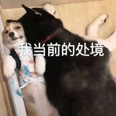 图片中一只穿着花衣服的小狗被一只体型更大的黑狗压制在角落里，小狗抬头露出无奈又略带微笑的表情，上方配有文字“我当前的处境”。这张梗图通过大小狗的对比，幽默地表现出人们在面对压力或困境时感到渺小无助的状态。