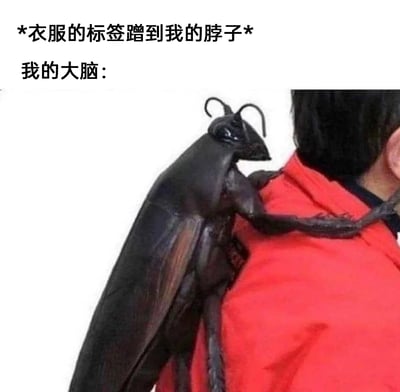 这是一张图文结合的搞笑梗图，上方标注文字“*衣服的标签蹭到我的脖子* 我的大脑：”，下方是经过P图改编的画面：一只被修改成人形肢体的巨型蟑螂趴在穿红色衣服的人的肩膀上，蟑螂的肢体搭在人的脖颈处，用极度夸张的方式，把衣服标签蹭脖子的轻微异物感，脑补成可怕的蟑螂接触身体的场景，精准放大了这种细微不适感带来的心理恐惧，十分贴合很多人都有过的类似体验，充满搞笑与共鸣感。