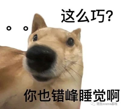这是一张针对当代年轻人作息不规律现象创作的搞笑静态表情包，画面主体是一只眼睛睁大、将脸凑近镜头的柴犬类狗狗，呈现出惊讶又好奇的神态，左上角的两个小圆圈点进一步强化了意外撞见的氛围。图片上方配有文字“这么巧？”，下方配有文字“你也错峰睡觉啊”，通过拟人化的狗狗对话，调侃那些因为工作、娱乐等原因不遵循常规睡眠时间，在他人休息时段保持清醒的人群，用幽默的方式引发当代年轻人的共鸣。