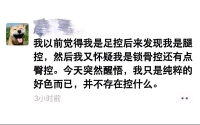这是一张微信朋友圈的社交媒体截图，属于单图图文混排的形式。截图左上角是一个张嘴吐舌、表情搞怪兴奋的柴犬头像，头像右侧的发布者用户名被做了马赛克处理。头像下方是发布者分享的文案：“我以前觉得我是足控后来发现我是腿控，然后我又怀疑我是锁骨控还有点臀控。今天突然醒悟，我只是纯粹的好色而已，并不存在控什么。”，文案下方标注了“3小时前”的发布时间。发布者用层层递进的自我剖析，最后用反转的方式调侃自己，将对不同身体部位的喜好归结为单纯的好色，内容充满幽默趣味，是用来在社交平台娱乐自己和好友的趣味分享。