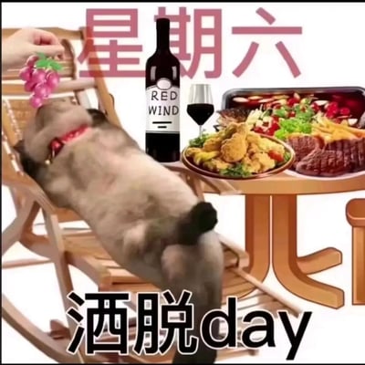 这是一张趣味P图表情包，画面中一只动物惬意地躺在木质摇椅上，一只手拿着葡萄投喂它，旁边的桌子上摆满了牛排、炸鸡、红酒等丰盛的西式餐食。画面顶部配有“星期六”的文字，底部是“洒脱day”的字样，其中“洒”谐音“酒”，对应画面里的红酒，整体营造出周末摆脱日常束缚、尽情享受惬意放松时光的氛围，精准贴合人们在周六想要彻底放松的心情。