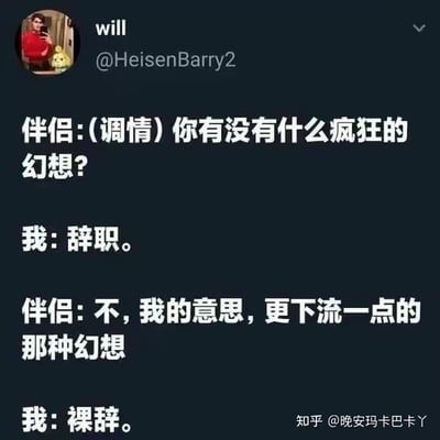 这是一张社交媒体截图，展示了一段幽默对话。伴侣以调情的语气询问对方是否有什么疯狂的幻想，对方回答“辞职”；伴侣进一步说明想要“更下流一点的那种幻想”，对方则回应“裸辞”。图片通过强烈的预期反差制造笑点，将伴侣期待的浪漫或性幻想转向职场压力下的真实愿望，反映了当代人对工作压力的无奈与调侃。