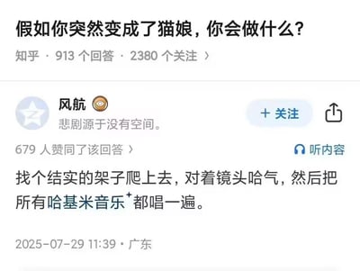 这是知乎平台上关于「假如突然变成猫娘会做什么」的脑洞提问下的高赞回答，答主风航给出了充满趣味的回复：要找结实的架子爬上去，对着镜头哈气，然后唱遍所有哈基米音乐。回答玩了当下网络热词「哈基米」（对可爱猫咪的爱称）的梗，完美贴合猫娘的猫咪属性，风格轻松搞笑，获得了679位网友的赞同。