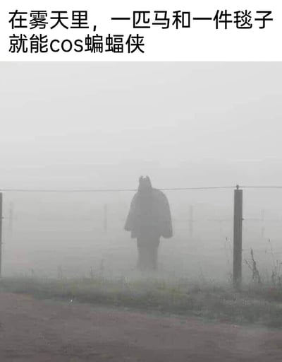 这是一张文字加注的静态照片，拍摄于大雾天气，画面能见度极低，前景是道路和围栏，围栏后方的一匹马身上披着毯子，其整体剪影在雾气的遮挡下，和超级英雄蝙蝠侠的经典造型高度相似。图片上方配有文字“在雾天里，一匹马和一件毯子就能cos蝙蝠侠”，利用视觉巧合制造出幽默搞笑的效果，让普通的生活场景变得充满趣味，很适合在社交平台上分享，引发网友的趣味讨论。