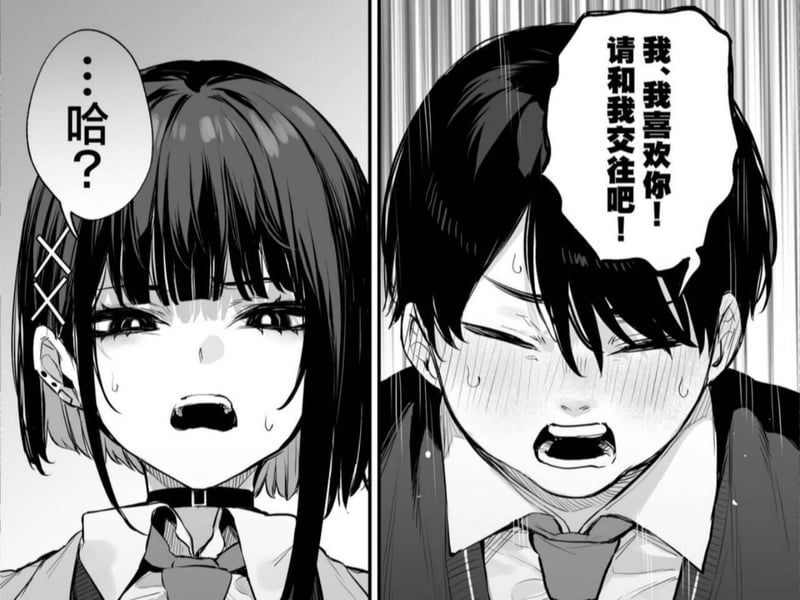 【我推的孩子】