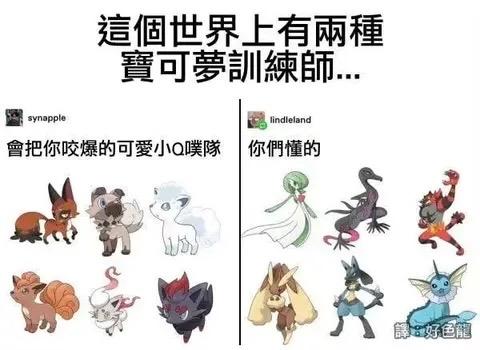 伊布