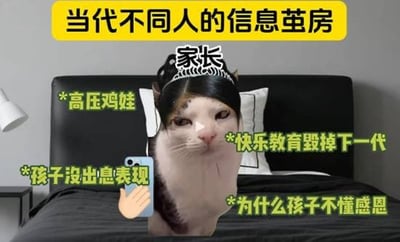 图片以“当代不同人的信息茧房”为主题，展示了一只戴着写有“家长”字样帽子的猫，表情无奈地手持手机，背景是卧室场景。猫的周围环绕着“高压鸡娃”“快乐教育毁掉下一代”“孩子没出息表现”“为什么孩子不懂感恩”等黄色文字标注，讽刺部分家长深陷于焦虑的教育观念中，形成信息茧房，过度关注孩子成绩与顺从性。