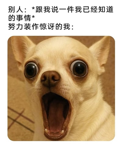 这是一张图文混排的搞笑表情包，上方分为两段文字：第一段是“别人：*跟我说一件我已经知道的事情*”，第二段是“努力装作惊讶的我：”；下方是一张真实拍摄的吉娃娃照片，这只吉娃娃眼睛圆睁，嘴巴大张，面部神态极度夸张，完美契合了文字所描述的“努力装惊讶”的状态。该表情包精准调侃了日常社交中，明明早已知晓对方所说的内容，却不得不刻意配合、装作惊讶的尴尬又好笑的场景，容易引发大众的共鸣。