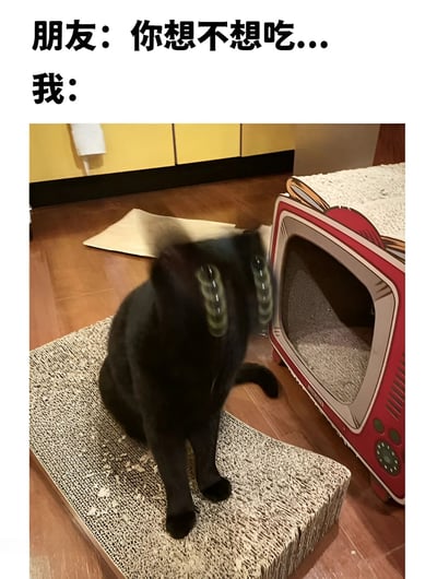 图片上方有两行文字："朋友：你想不想吃..."和"我："。下方是一只黑猫坐在猫抓板上，耳朵竖起，眼睛因兴奋而显得特别大，正扭头看向旁边的红色猫窝。图片通过猫咪对食物的夸张反应，幽默地表现了人们听到有吃的时的兴奋状态。