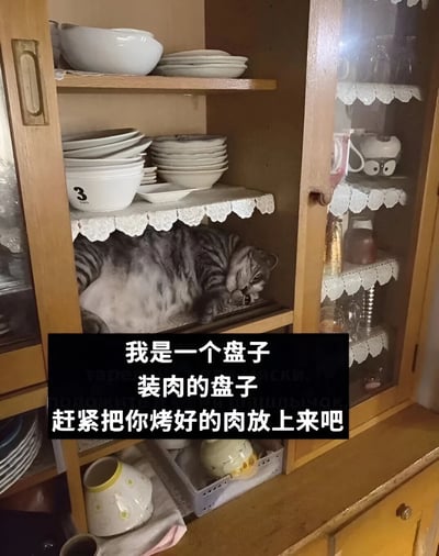 一张家庭厨房场景的照片，展示了一个带有玻璃门的木质橱柜。橱柜内部的架子上铺着白色蕾丝桌布，摆放着叠好的白色碗碟和盘子。一只灰色虎斑猫正四仰八叉地躺在中间的架子上，占据了原本放餐具的空间，肚子朝上，姿态十分慵懒。图片底部有黑色背景的白色文字 overlay：“我是一个盘子 装肉的盘子 赶紧把你烤好的肉放上来吧”。
图片通过拟人化手法，将猫的扁平姿势和圆润体型调侃为“装肉的盘子”，形成猫咪与餐具的趣味联想，营造出轻松搞笑的氛围。