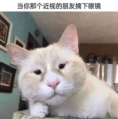 这是一张文字加注的静态梗图，图中主体是一只浅黄白色的猫咪，它双眼无神、视线模糊，眼皮耷拉着，呈现出迷茫、看不清事物的神态，正趴在平面上，一只爪子放在身体前方。图片上方配有文字“当你那个近视的朋友摘下眼镜”，用猫咪的神态精准且幽默地调侃了近视人群摘下眼镜后，因视力骤降而无法清晰视物、眼神涣散迷茫的状态，十分形象生动，容易引发近视人群的共鸣。