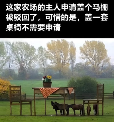 图片上方有一段文字说明：'这家农场的主人申请盖个马棚被驳回了，可惜的是，盖一套桌椅不需要申请'。下方是一张照片，展示了一个创意设计：在绿色的草地上，有一套超大尺寸的木制桌椅，但实际上这是一个伪装成桌椅的马棚，几匹马正站在'桌椅'下方避雨或休息。桌子下方有一个花盆，里面插着几朵花，增加了伪装的真实感。背景是有雾的乡村景色，有几棵树木和一个木栅栏。这张图片通过视觉双关和创意设计，幽默地展示了农场主如何绕过建筑申请规定，用伪装的方式为马匹建造了一个庇护所。
