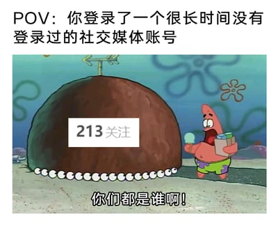 这是一张改编自动画《海绵宝宝》的网络梗图，顶部文字“POV：你登录了一个很长时间没有登录过的社交媒体账号”为整个画面设定了场景。图中派大星的房子被标注“213关注”的白色框覆盖，房子底部排列着许多眼睛，对应社交账号中的关注列表；派大星手持冰淇淋和盒子，张大嘴巴，眼神震惊又茫然，下方配文“你们都是谁啊！”，生动还原了用户登录许久未用的社交账号时，面对大量陌生关注对象，完全记不起对方身份的迷惑、崩溃心情，用卡通形象的夸张反应放大了这种真实的网络社交体验，引发网友共鸣。