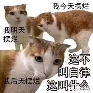 这张图通过将同一只表情无奈的橘白猫重复拼接成三只的视觉效果，搭配玩梗文字：三只猫分别对应「我今天摆烂」「我明天摆烂」「我后天摆烂」，右侧配文「这不叫自律 这叫什么」，用反讽的方式调侃把持续性摆烂强行定义为自律的搞笑行为，精准戳中当代年轻人想摆烂又想找借口的矛盾心态，风格幽默接地气。