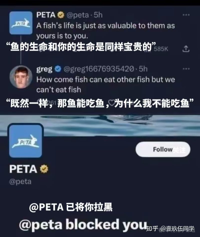 真实用户