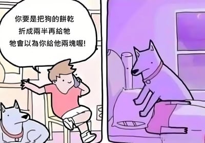 这是一张两格连环卡通漫画。左格中，一个穿着粉色上衣的人坐在椅子上打电话，面带微笑，旁边有一只戴着项圈的白色小狗。人物的对话气泡写着：“你要是把狗的饼干折成两半再给她，她会以为你给他两块喔！”。右格中，同一只小狗（因光线呈现紫色调）坐在床上，前爪搭在床沿，扭头看向饼干，表情显得期待又兴奋，似乎正等着被给予“两块”饼干。整幅漫画通过简单的情节展现了狗狗对饼干数量的可爱误解，充满轻松幽默的氛围。