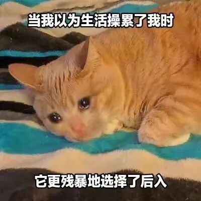这是一张静态单图表情包，主体是一只趴在带有蓝黑条纹垫子上的橘猫，它眼神湿润、眉头微蹙，表情委屈低落，看起来十分疲惫无力。图的上方和下方分别添加了戏谑吐槽的文字：“当我以为生活操累了我时”“它更残暴地选择了后入”，用夸张的语气将生活的接连打击具象化，橘猫的委屈神态与扎心的文字形成强烈共鸣，精准表达了人们在生活中遭遇接连不顺时的沮丧、无力心情，适合用来抒发生活压力与负面情绪。