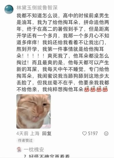 这是一张社交媒体截图，内容为用户“林黛玉倒拔鲁智深”分享的高中趣事：为给前桌油耳男生掏耳朵，追了对方两年，高二暑假“得手”后因暑假未开学而心痒难耐，开学后每天中午专门为其掏耳朵，闺蜜称其“舔狗”但本人毫不在意，强调“纯粹想掏他耳朵”，文末配四个🥺表情。截图下方附有一张眯眼享受表情的橘猫图片，底部显示“4天前 上海 回复”及5197个点赞，并有其他用户“一枕槐安”的回复“好怪不确定再看看”。整体内容充满荒诞搞笑的校园恋爱喜剧感，橘猫图片与文字内容形成趣味呼应。