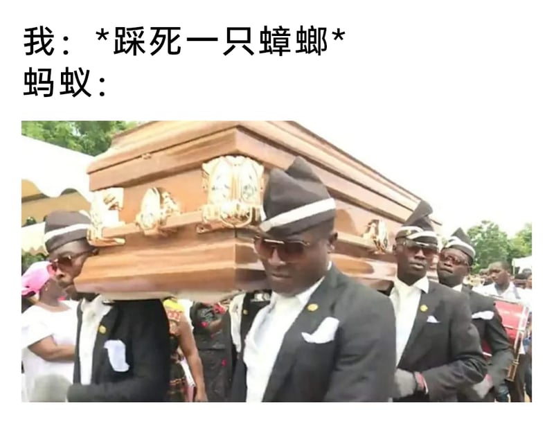 葬礼抬棺服务