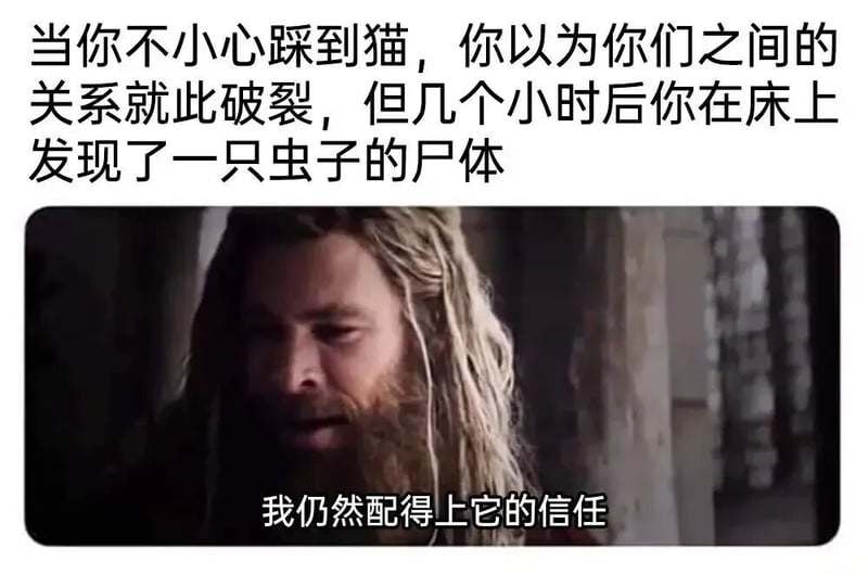 托尔