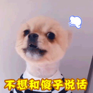 不想和傻子说话的傲娇小狗GIF