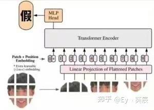 这张图用玩梗的方式调侃视觉Transformer（ViT）模型的输入处理流程，将一张真人的脸作为输入，把人脸分割成多个类似ViT中Patch的区块，对应模型的Linear Projection of Flattened Patches模块，接着连接Patch+Position Embedding、Transformer Encoder，最后标注了一个“假”的MLP Head，用幽默的方式可视化了ViT模型的结构，让专业的AI模型知识变得通俗易懂，没有双关或谐音梗。