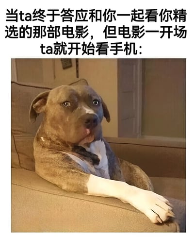 图片上方配有文字：“当ta终于答应和你一起看你精选的那部电影，但电影一开场ta就开始看手机：”，下方是一张真实狗狗的照片。狗狗坐在米色沙发上，身体微微前倾，前爪自然放在沙发边缘，眼神平静地望向镜头，表情中带着一丝不易察觉的无奈，仿佛在生动演绎电影爱好者遇到同伴观影时玩手机的失望心情。整体画面通过文字与狗狗表情的结合，幽默地展现了日常生活中的小尴尬场景。