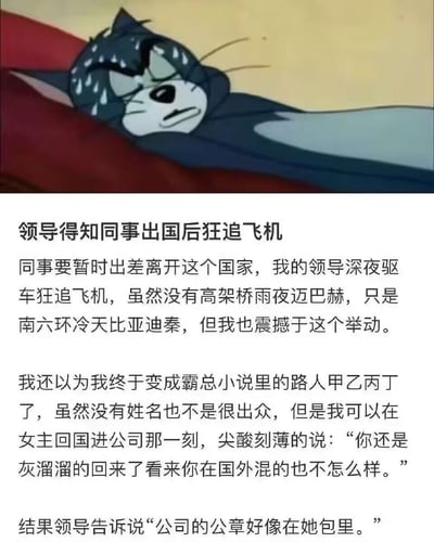 这是一张图文结合的搞笑梗图，上方是经典动画《猫和老鼠》中汤姆猫满头大汗、一脸崩溃疲惫躺着的截图，用来烘托看到领导举动后的震撼与后续反转的无奈；下方是一段充满反差感的职场趣事：同事要出国出差，领导深夜开着比亚迪秦在南六环狂追飞机，原本以为是霸总文学里的浪漫追人戏码，自己能当一次路人甲，结果发现领导是因为公司公章可能在同事包里才追，瞬间从霸总桥段变成真实又搞笑的职场乌龙，反差感拉满。