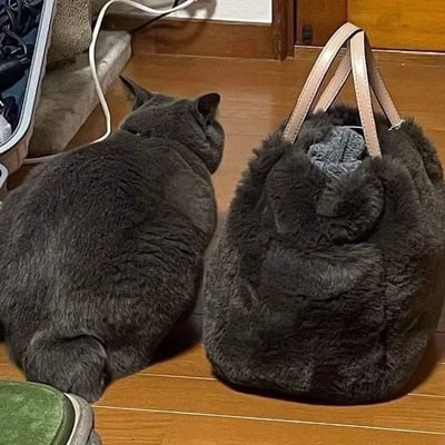 一只灰色的猫咪蹲坐在木地板上，它的旁边放着一个灰色的毛绒手提包，两者颜色和质感非常相似，形成了有趣的视觉对比。猫咪背对着镜头，只能看到它圆润的背影和尾巴，而包包则有着浅色的手提带，内部似乎还放着一些衣物。