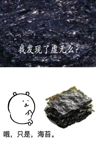 这是一张上下对比的幽默梗图。上图是海苔的特写镜头，深色纹理配合文字“我发现了虚无么？”营造出神秘哲学氛围；下图则展示了卡通小熊和一堆海苔，配文“哦，只是，海苔。”形成强烈反差，用日常食物解构哲学思考，产生搞笑效果。