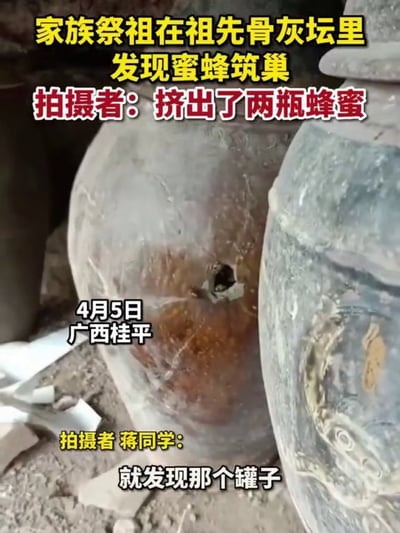 图片是一段祭祖场景的截图，有人在祖先骨灰坛里竟然发现了蜜蜂筑巢，拍摄者还表示挤出了两瓶蜂蜜。画面和文案气氛搞笑、有点离谱，混合了祭祖的庄重和现实生活的奇闻趣事，容易让人联想到诸如“祖先加持”、“灵气蜂蜜”等网络梗。文字突出“挤出了两瓶蜂蜜”，带有民间幽默感和暗示性质。
