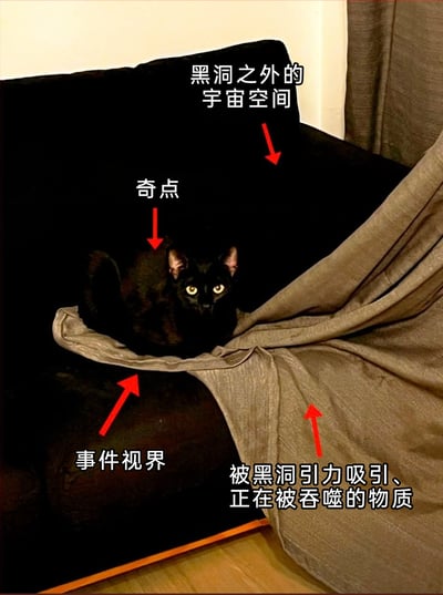 这是一张充满脑洞创意的静态文字加注图，利用纯黑猫咪与黑色沙发的视觉融合效果，将猫咪类比为宇宙中的黑洞，通过红色箭头和中文标注趣味化解释黑洞相关天文概念：把黑色沙发区域标注为“黑洞之外的宇宙空间”，将睁着警觉黄眼睛、趴在毯子上的黑猫标注为“奇点”，猫咪身前的毯子边缘标注为“事件视界”，毯子部分则标注为“被黑洞引力吸引、正在被吞噬的物质”，用生活化的宠物场景生动类比黑洞的结构与引力特性，兼具趣味性和科普感，风格搞笑治愈。
