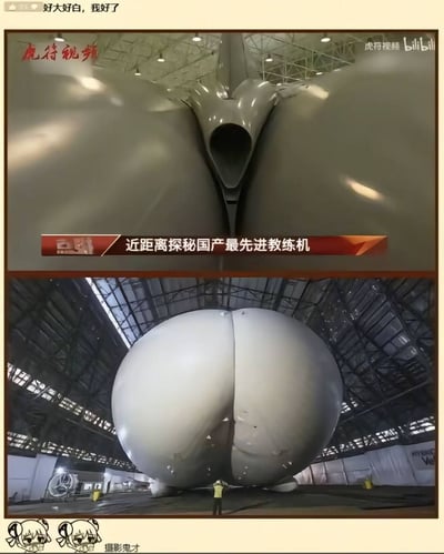 图片由上下两张截图组成，展示了国产先进教练机的尾部特写。上方图片为飞机尾部的近距离拍摄，下方图片则展示了一个人站在巨大的飞机部件前，凸显其尺寸。图片顶部有文字"好大好白，我好了"，底部有"摄影鬼才"的字样，通过特殊拍摄角度制造出幽默效果。