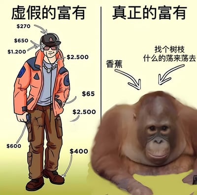 这是一张左右对比的梗图，左侧标题为“虚假的富有”，展示了一位全身穿着昂贵服饰的男性，包括标价$270的耳机、$650的太阳镜、$1200的外套、$2500的项链、$65的手表、$2500的背包、$600的手机和$400的靴子。右侧标题为“真正的富有”，展示了一只红毛猩猩拿着香蕉，配文“找个树枝什么的荡来荡去”。图片通过夸张对比，幽默地表达了物质财富与简单快乐的价值差异。