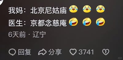 这是一张来自辽宁用户6天前发布在小红书的社交媒体评论截图，内容为一个趣味谐音梗：用户模拟“我妈”和“医生”的对话，“我妈”所说的“北京尼姑庙”与“医生”对应的“京都念慈庵”发音高度相近，利用谐音制造出反差笑点，每条对话后都搭配了哭笑不得的黄色表情符号。截图下方显示该评论获得3741个点赞，同时具备回复、分享等互动功能按钮，右下角带有小红书平台的水印。