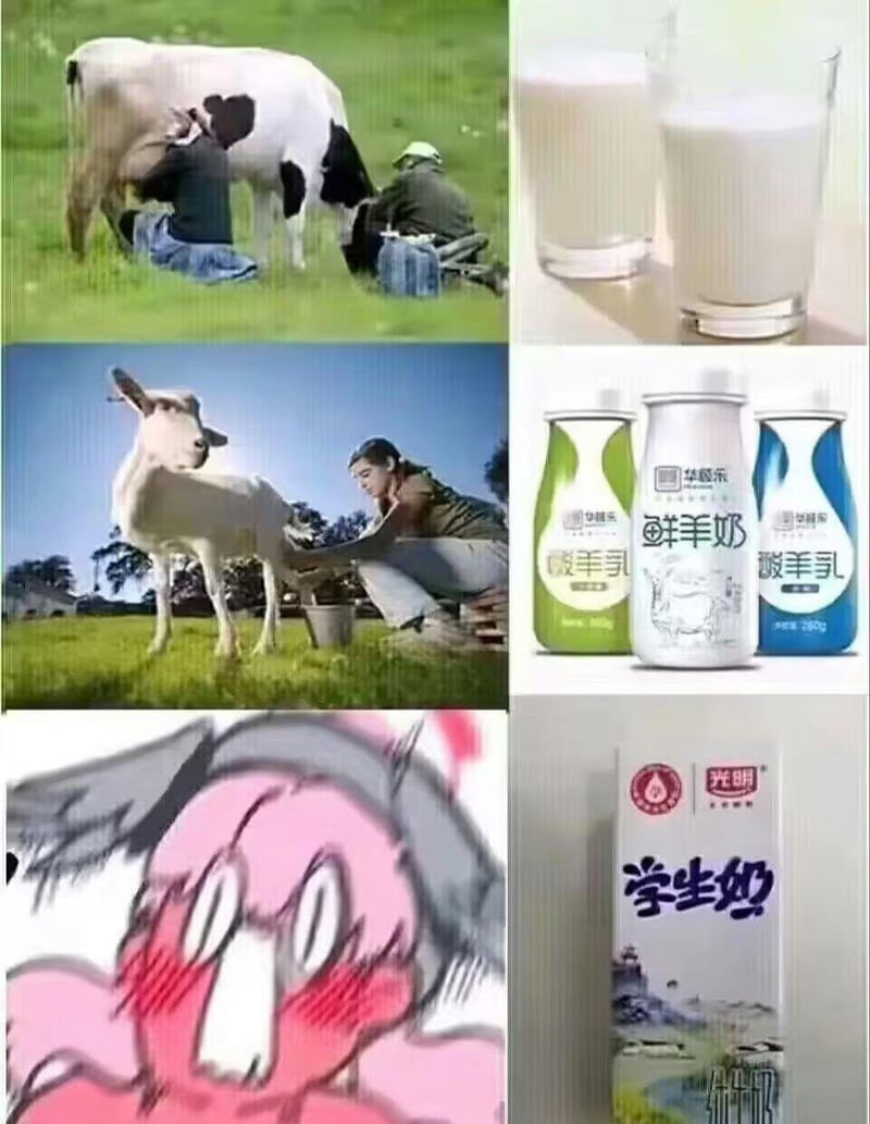 山羊