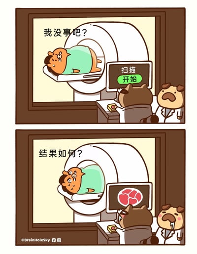 这是一幅由两格组成的拟人化动物搞笑漫画。第一格中，一只橙色的动物患者躺在CT扫描仪器的检查床上，满脸担忧地询问“我没事吧？”，一旁的棕熊操作员按下按钮，仪器屏幕显示“扫描开始”，狗医生则严肃地站在操作员身边；第二格中，患者焦急地追问“结果如何？”，此时扫描结果屏幕上显示出类似生肉的图案，棕熊操作员见状哭泣，狗医生则流着口水露出馋相，原来扫描结果暴露了患者的“本质”是可食用的肉，用荒诞的脑洞设定制造出强烈的搞笑反差，将医院检查的场景转化为充满趣味的荒诞故事。
