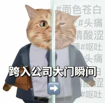 图片左侧是一只穿着深蓝色西装、内搭白色衬衫并系着领带的橘猫，左手提着棕色公文包，眼神明亮警觉，显得精神饱满；右侧同样是这只橘猫，但表情瞬间变得疲惫萎靡，眼神下垂，姿态慵懒。图片中间有一条竖线分隔左右，下方配有文字“跨入公司大门瞬间”，右侧背景则排列着“面色苍白”“头痛”“清酸涩”“呕吐”等描述身体不适的文字。通过左右两侧猫咪表情和状态的强烈反差，幽默地表现了打工人在进入公司瞬间从精神状态到身心疲惫的快速转变，生动展现了职场人的无奈与自嘲。